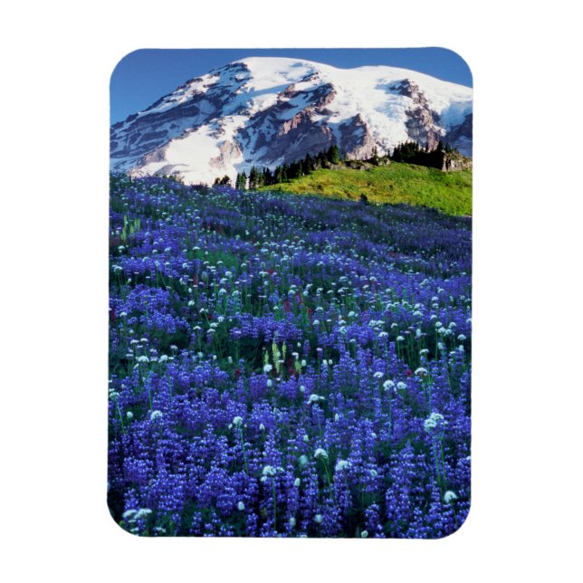 USA, Washington, Mt. Rainier nationalpark. Mt. Magnet (Vertikal)