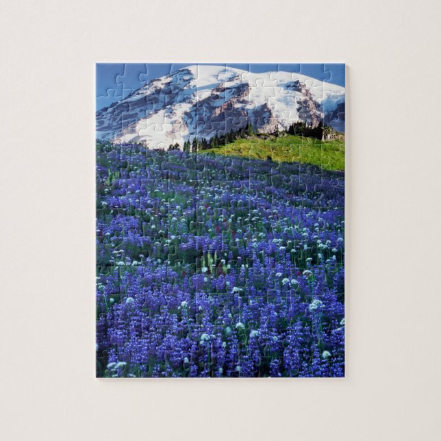 USA, Washington, Mt. Rainier nationalpark. Mt. Pussel (Vertikal)