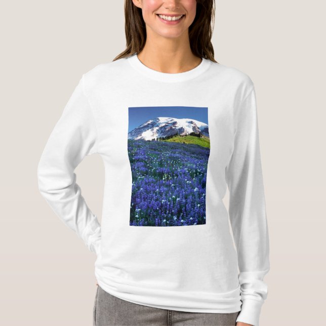 USA, Washington, Mt. Rainier nationalpark. Mt. Tee (Framsida)