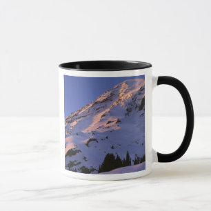 USA, Washington, Mt. Rainier nationalpark Mugg