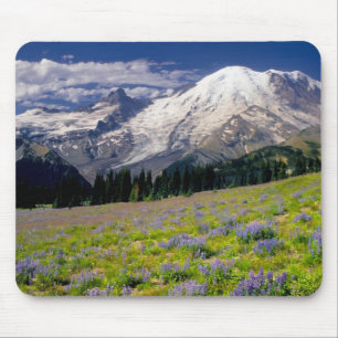 USA, Washington, Mt. Rainier nationalpark. Musmatta