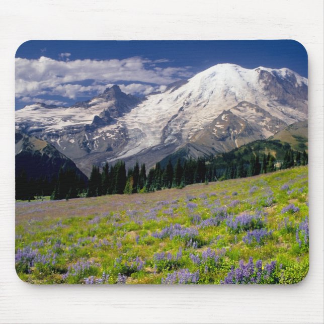 USA, Washington, Mt. Rainier nationalpark. Musmatta (Framsidan)