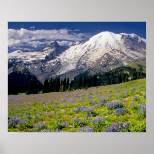 USA, Washington, Mt. Rainier nationalpark. Poster