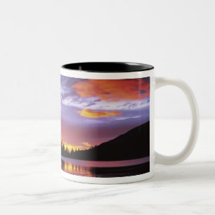 USA, Washington, Mt. Rainier nationalpark, Två-Tonad Mugg
