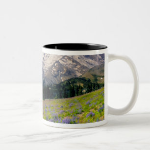 USA, Washington, Mt. Rainier nationalpark. Två-Tonad Mugg
