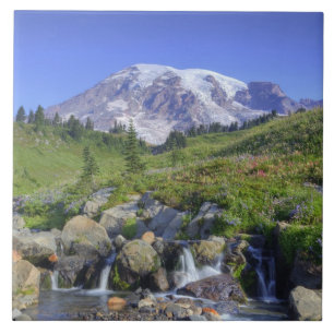 USA, Washington, Mt. Rainier NP, Mt. Rainier och 2 Kakelplatta