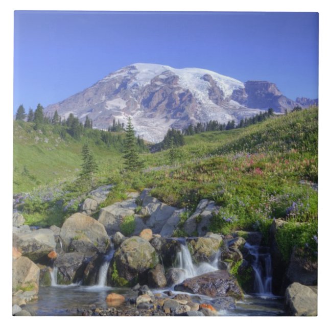 USA, Washington, Mt Rainier NP, Mt Rainier och 2 Kakelplatta (Framsidan)