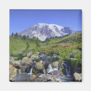 USA, Washington, Mt. Rainier NP, Mt. Rainier och 2 Magnet
