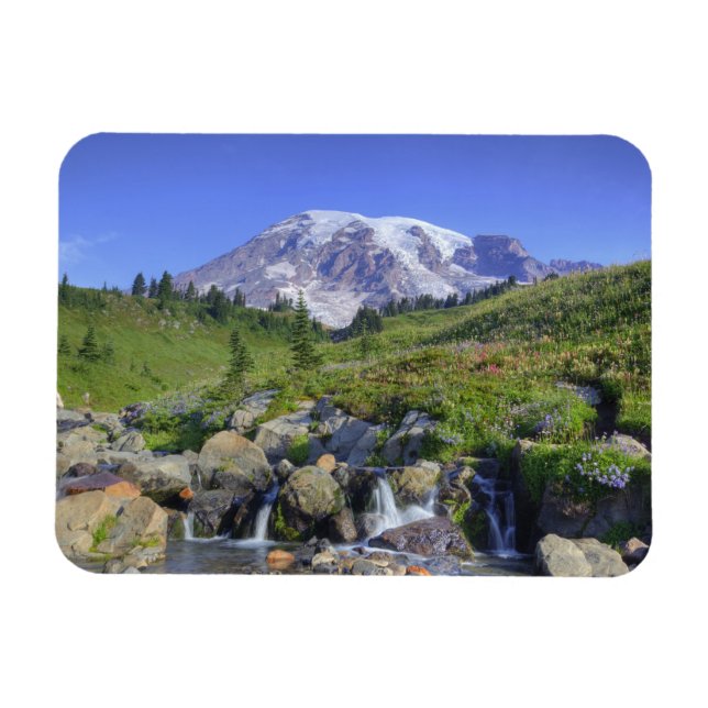 USA, Washington, Mt Rainier NP, Mt. Rainier och 2 Magnet (Horisontell)