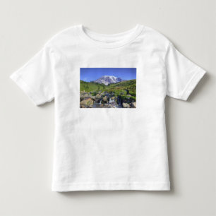 USA, Washington, Mt. Rainier NP, Mt. Rainier och 2 T Shirt