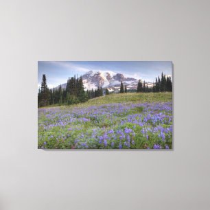 USA, Washington, Mt. Rainier NP, Mt. Rainier och Canvastryck