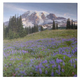 USA, Washington, Mt. Rainier NP, Mt. Rainier och Kakelplatta