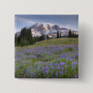 USA, Washington, Mt. Rainier NP, Mt. Rainier och Knapp