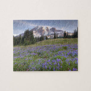 USA, Washington, Mt. Rainier NP, Mt. Rainier och Pussel