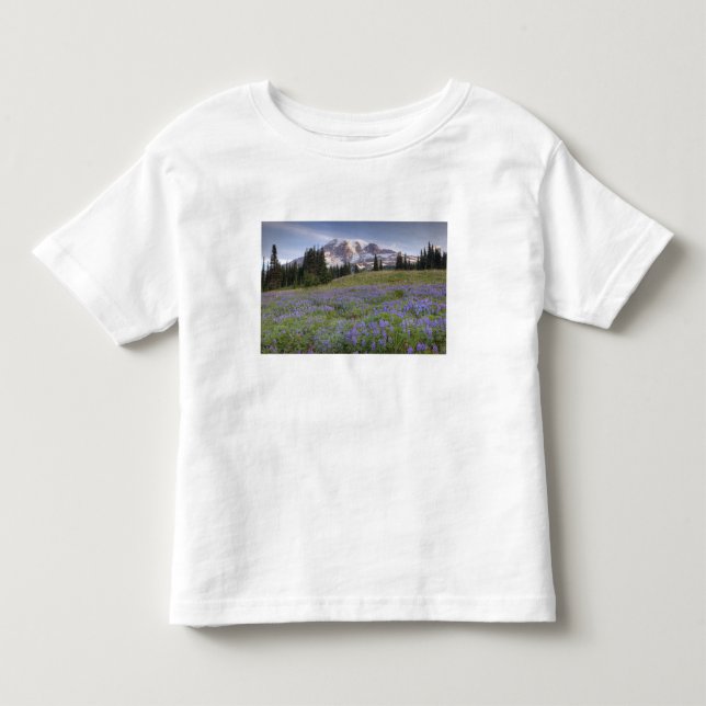 USA, Washington, Mt. Rainier NP, Mt. Rainier och Tee Shirt (Framsida)