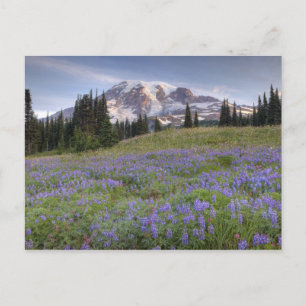 USA, Washington, Mt. Rainier NP, Mt. Rainier och Vykort