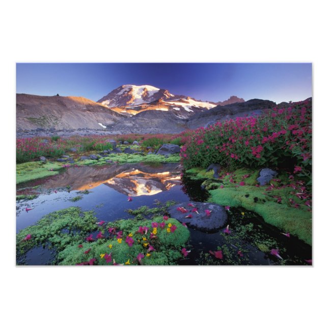 USA, Washington, Mt. Rainier NP, soluppgång, Fototryck (Framsidan)