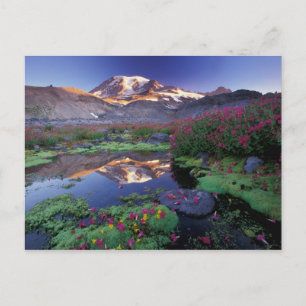 USA, Washington, Mt. Rainier NP, soluppgång, Vykort