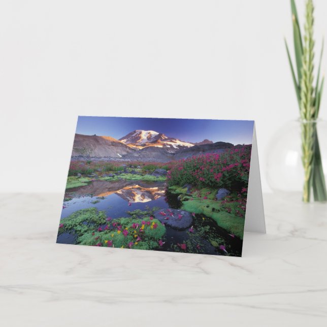 USA, Washington, Mt. Rainier NP, sunrise Kort (Framsida)