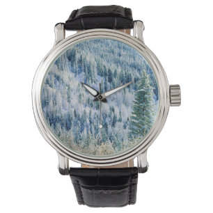 USA, Washington, Mt. Spokane State Park, Aspen 2 Armbandsur
