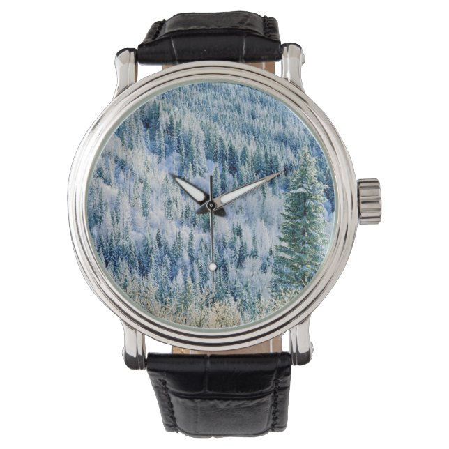 USA, Washington, Mt. Spokane State Park, Aspen 2 Armbandsur (Framsida)