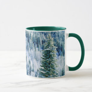 USA, Washington, Mt. Spokane State Park, Aspen 2 Mugg