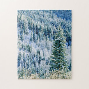 USA, Washington, Mt. Spokane State Park, Aspen Pussel
