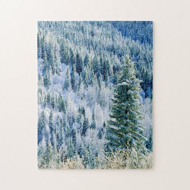 USA, Washington, Mt. Spokane State Park, Aspen Pussel (Vertikal)