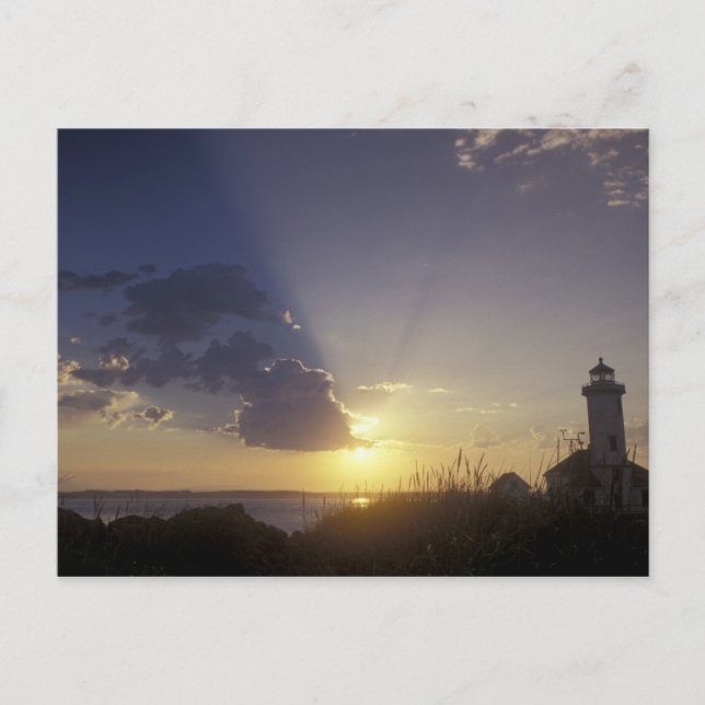 USA, Washington, nära Port Townsend. Punkt Vykort (Framsida)