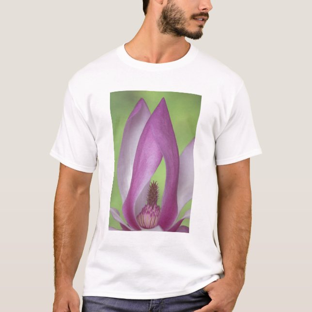 USA, Washington. Närbild av magnoliablomma. Tee (Framsida)