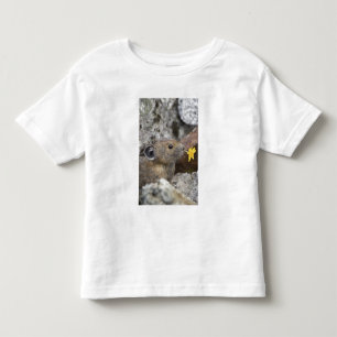 USA, Washington, North Cascades National Park, T Shirt