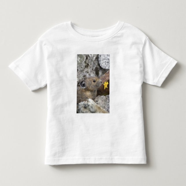 USA, Washington, North Cascades National Park T Shirt (Framsida)