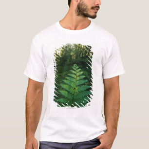 USA Washington, Olympia nationalpark, Hoh flod Tee Shirt