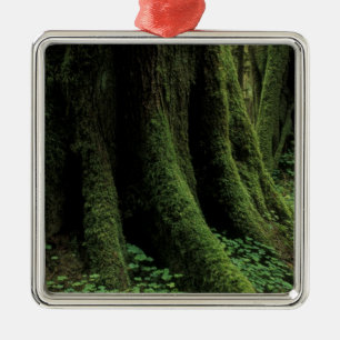 USA, Washington, Olympic National Park, 2 Julgransprydnad Metall