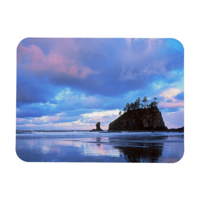 USA, Washington, Olympic National Park 2 Magnet (Horisontell)