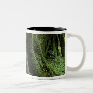 USA, Washington, Olympic National Park, 2 Två-Tonad Mugg