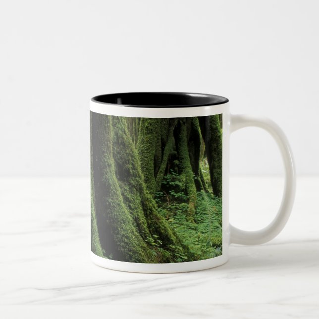 USA, Washington, Olympic National Park, 2 Två-Tonad Mugg (Höger)