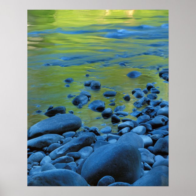USA, Washington, Olympic National Park 3 Poster (Framsidan)