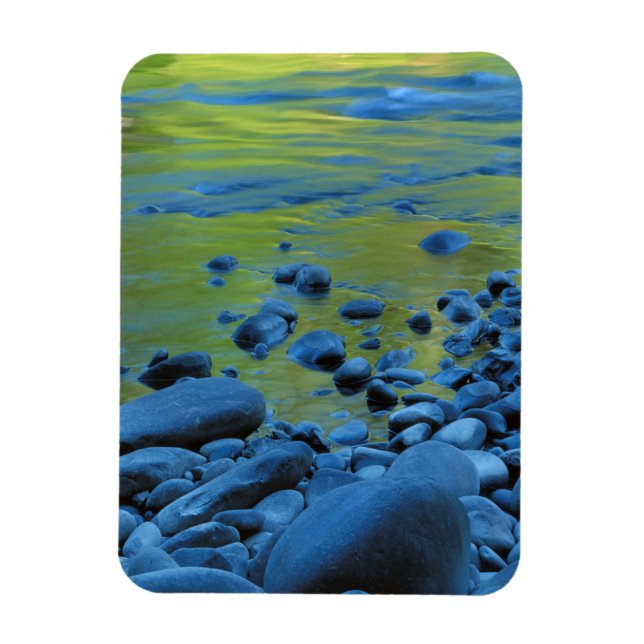 USA, Washington, Olympic National Park 4 Magnet (Vertikal)