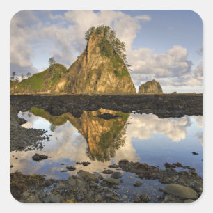 USA, Washington, Olympic National Park. A Fyrkantigt Klistermärke