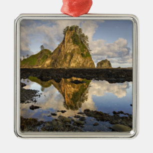 USA, Washington, Olympic National Park. A Julgransprydnad Metall