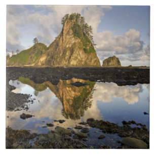 USA, Washington, Olympic National Park. A Kakelplatta