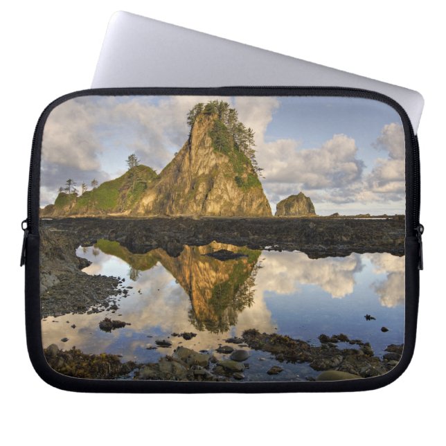 USA, Washington, Olympic National Park.A Laptop Fodral (Framsidan)