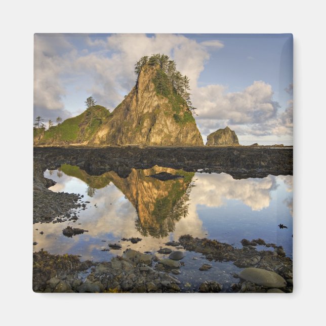 USA, Washington, Olympic National Park. A Magnet (Framsidan)