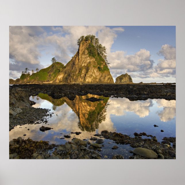 USA, Washington, Olympic National Park. A Poster (Framsidan)