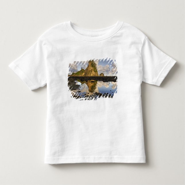 USA, Washington, Olympic National Park.A Tee Shirt (Framsida)