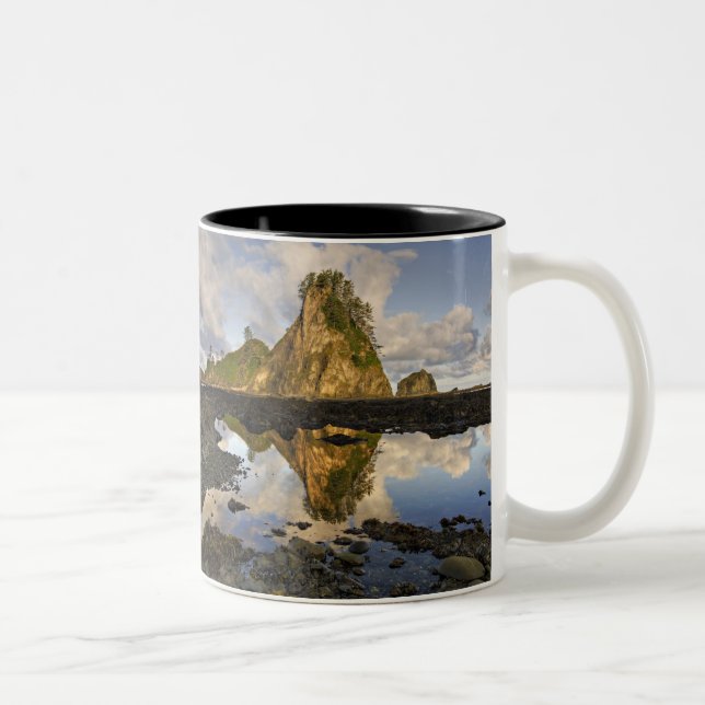 USA, Washington, Olympic National Park.A Två-Tonad Mugg (Höger)