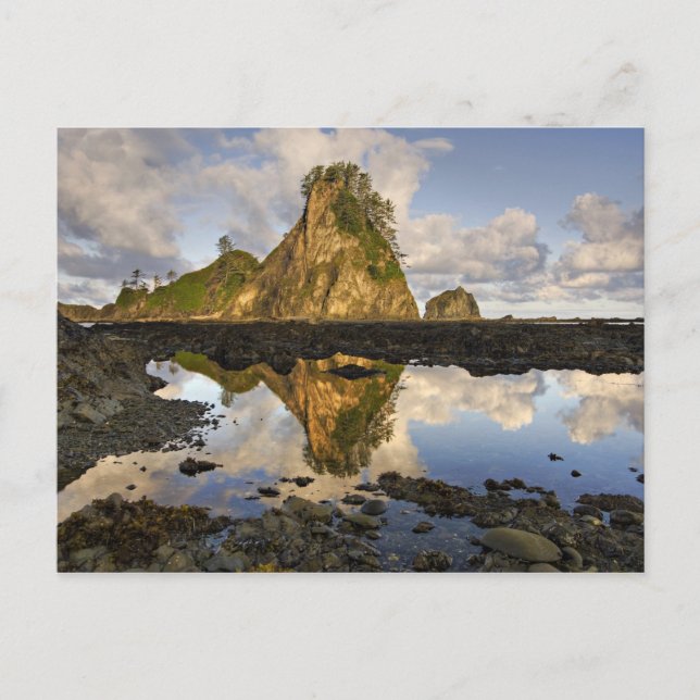 USA, Washington, Olympic National Park.A Vykort (Framsida)