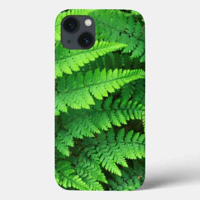 USA, Washington, Olympic National Park, Athyrium (Baksida)