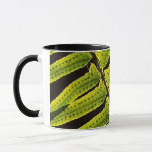 USA, Washington, Olympic National Park, bakgrundsb Mugg